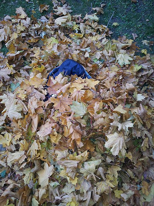 20111106_160302